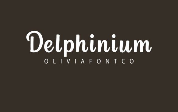 Delphinium: A Charming Serif Font for Editorial Design